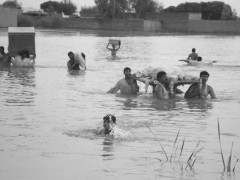 flooding-of-sindh-1342983163-5613
